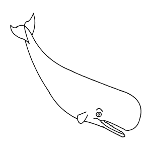 How To Draw a Sperm Whale - Step-By-Step Tutorial