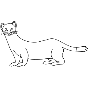 How To Draw a Stoat - Step-By-Step Tutorial