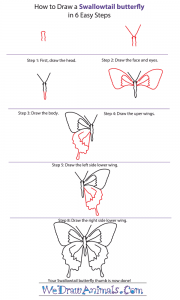 How to Draw a Swallowtail Butterfly