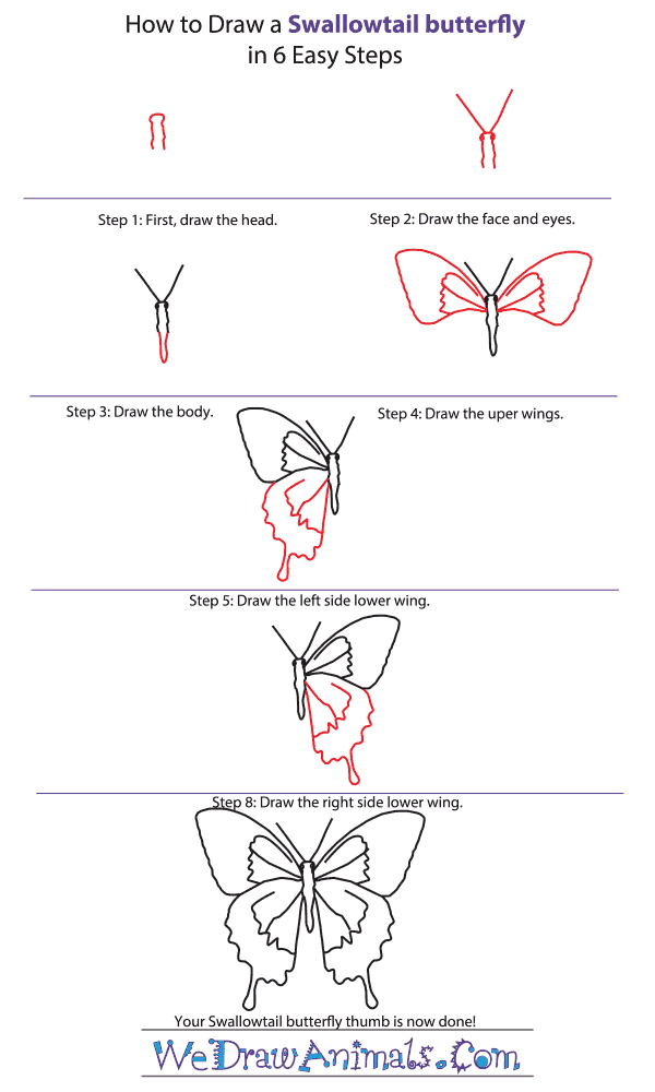 How to Draw a Swallowtail Butterfly - Step-By-Step Tutorial