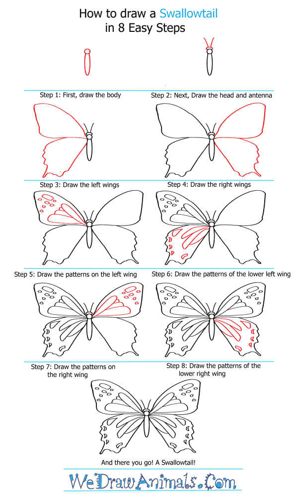 How to Draw a Swallowtail - Step-by-Step Tutorial