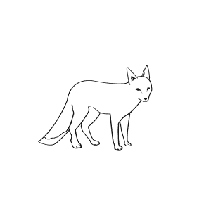 How To Draw a Swift Fox - Step-By-Step Tutorial