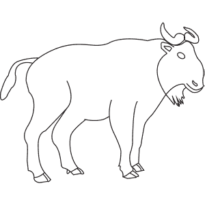 How To Draw a Takin - Step-By-Step Tutorial