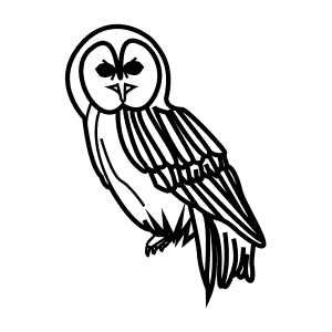 How To Draw a Tawny Owl - Step-By-Step Tutorial