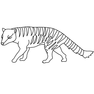 How To Draw a Thylacine - Step-By-Step Tutorial