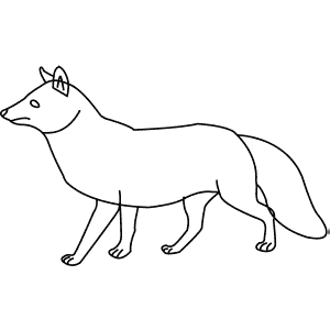 How To Draw a Tibetan Fox - Step-By-Step Tutorial