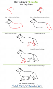 How to Draw a Tibetan Fox