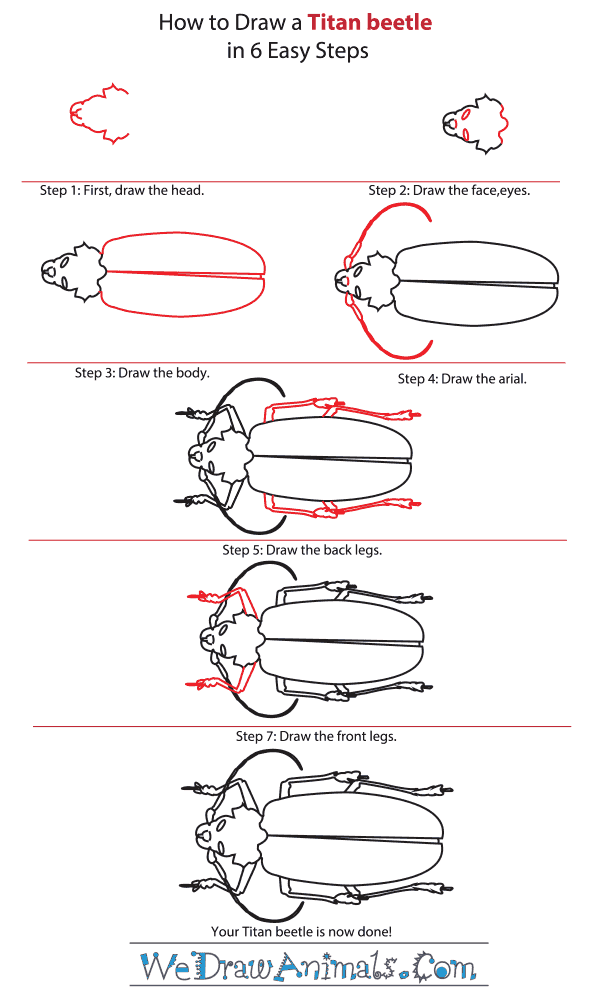 How to Draw a Titan Beetle - Step-by-Step Tutorial