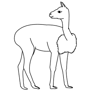 How To Draw a Vicuna - Step-By-Step Tutorial