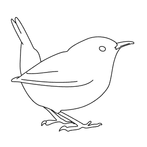 How To Draw a Wren - Step-By-Step Tutorial