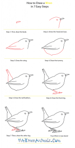 How To Draw A Wren