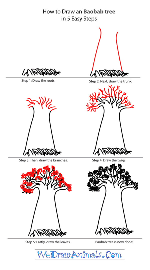 baobab tree drawing