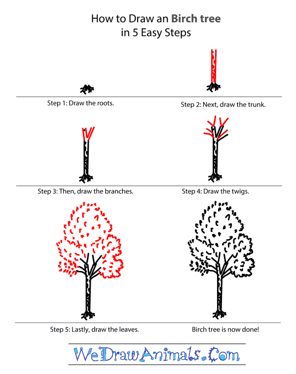 How to Draw a Birch Tree