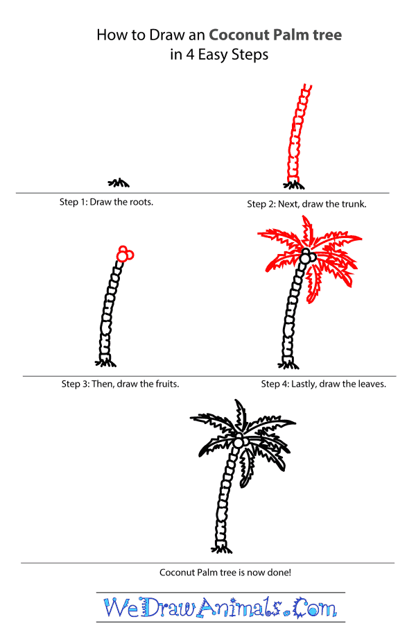 Coconut Palm Tree Tutorial 