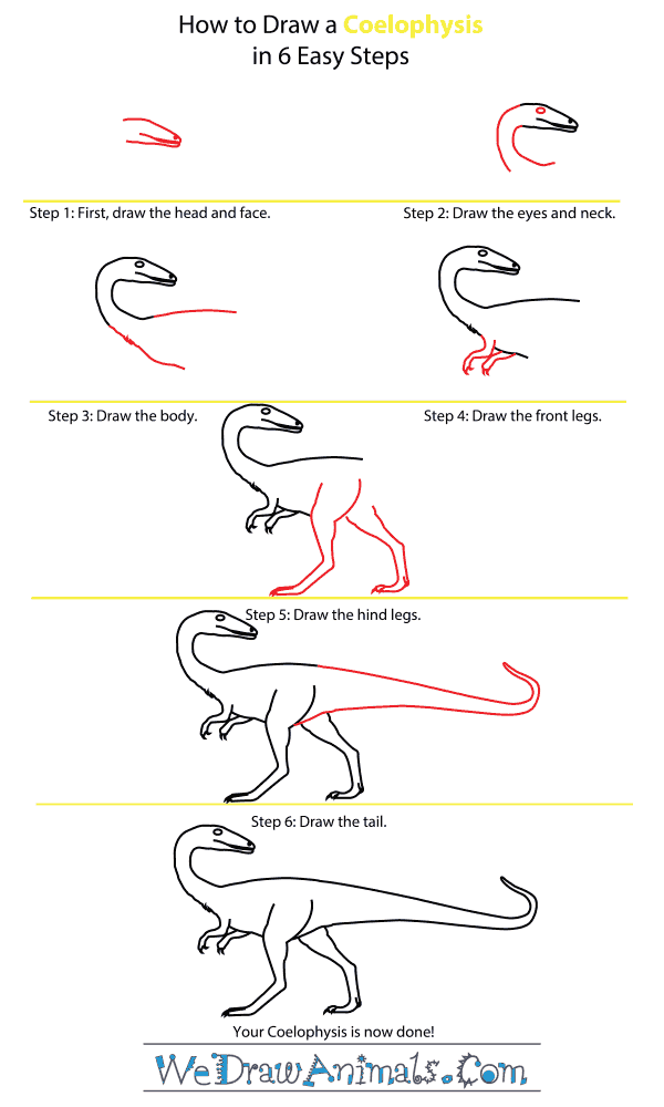 How to Draw a Coelophysis - Step-by-Step Tutorial