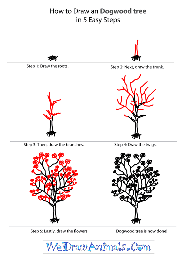 How to Draw a Dogwood Tree - Step-by-Step Tutorial