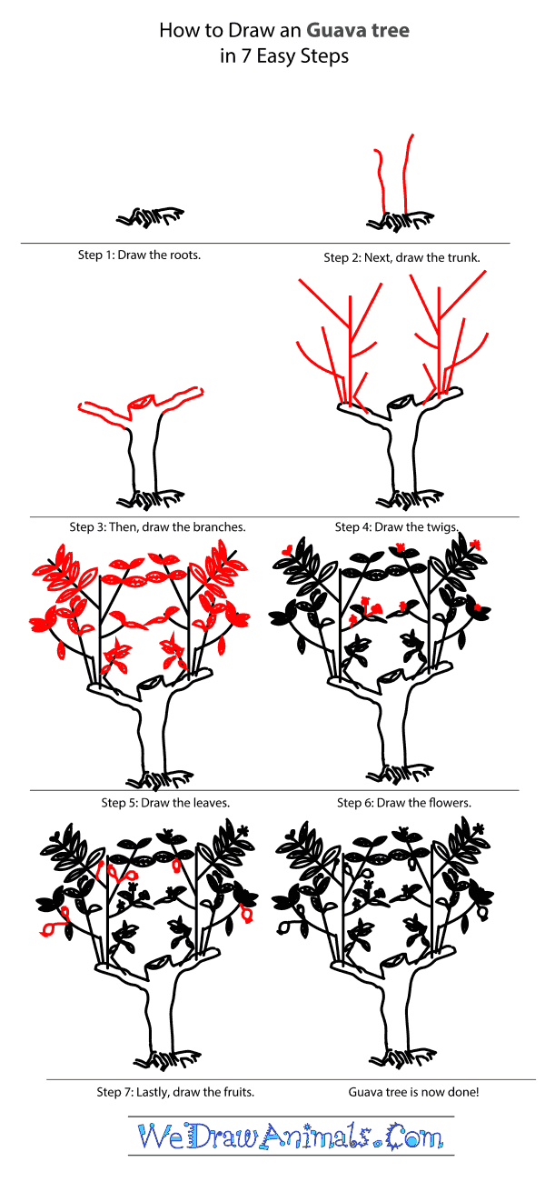 How to Draw a Guava Tree  Really Easy Drawing Tutorial
