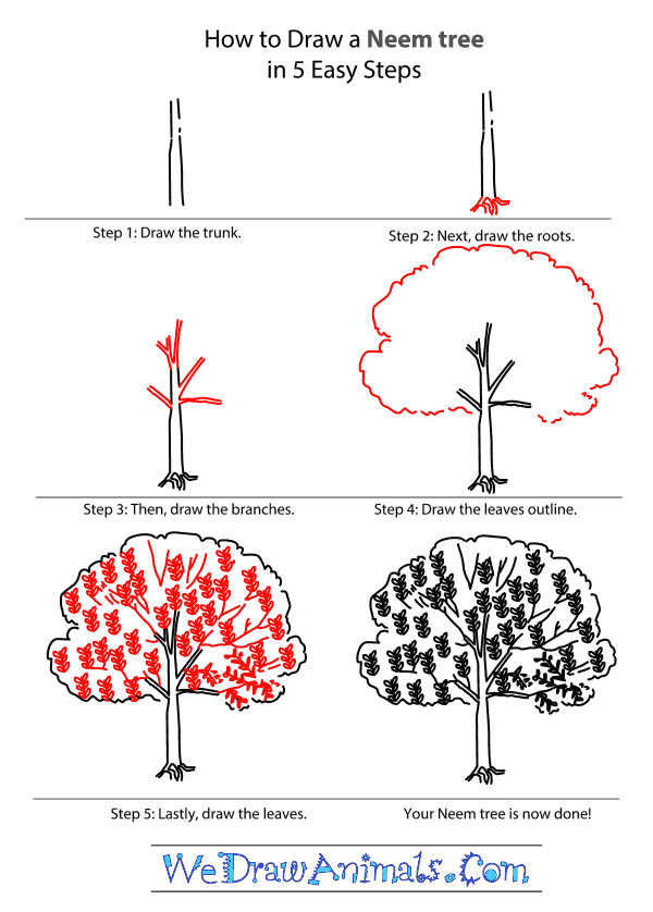 neem tree tutorial