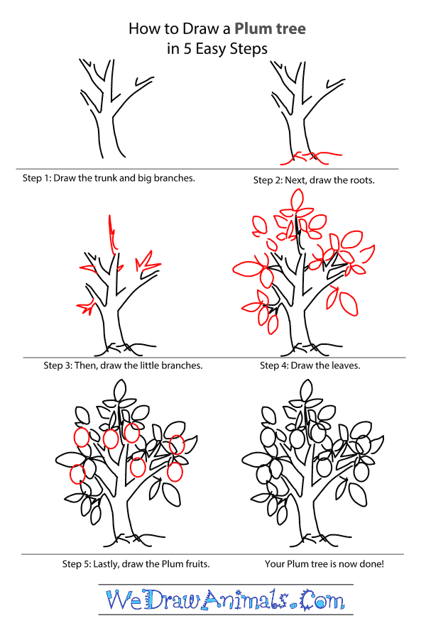 How to Draw a Plum Tree