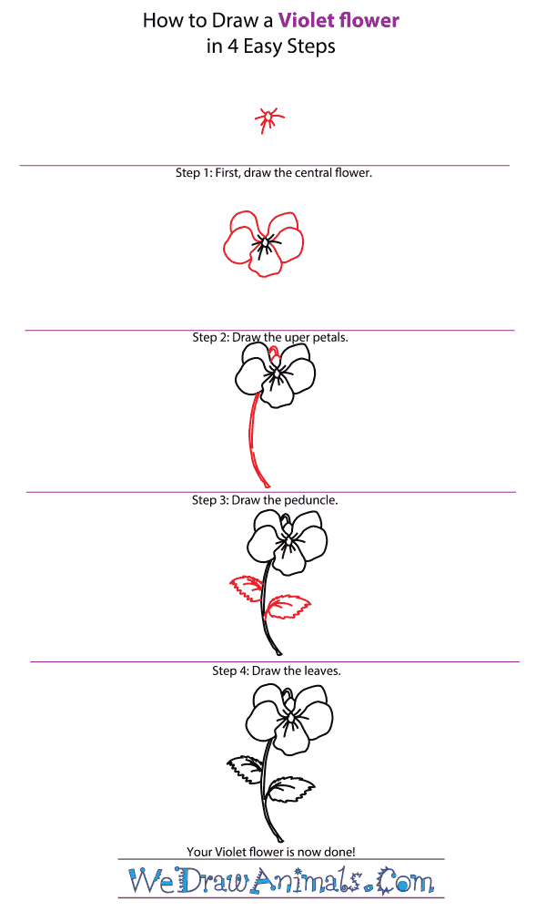 How to Draw a Violet Flower