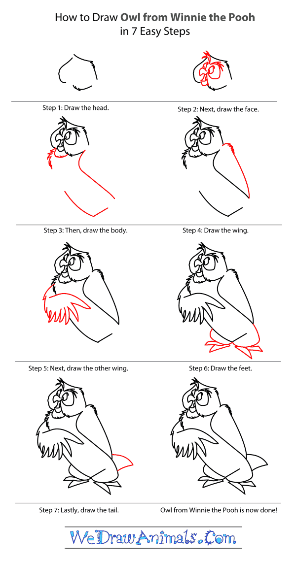 How to Draw Owl From Winnie The Pooh - Step-by-Step Tutorial