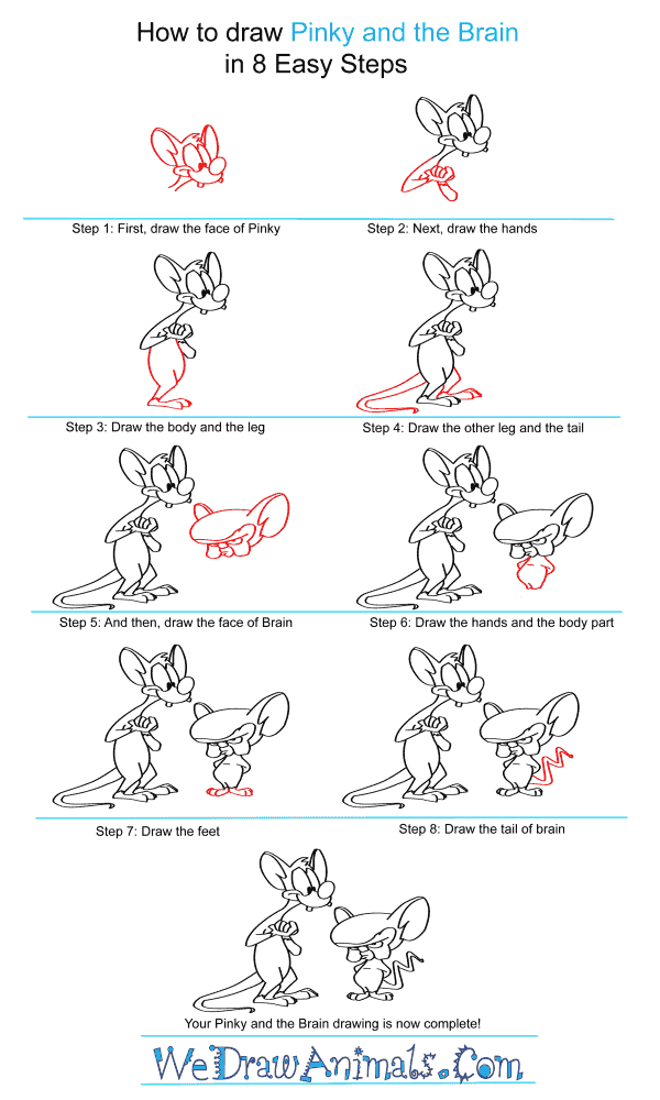 How to Draw Pinky And The Brain - Step-by-Step Tutorial