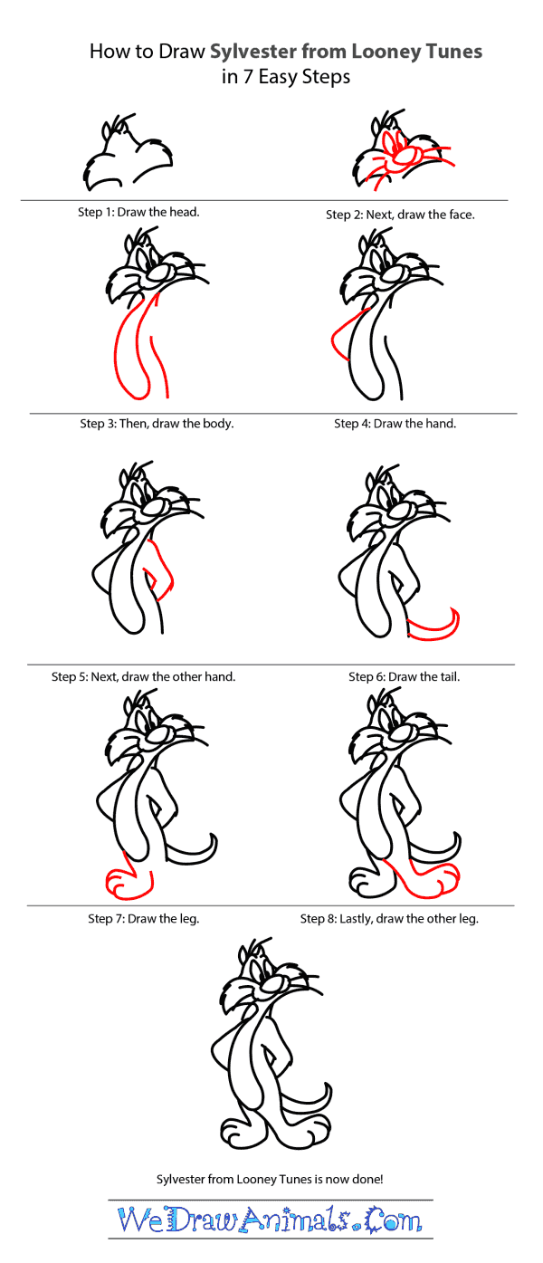 How to Draw Sylvester From Looney Tunes - Step-by-Step Tutorial