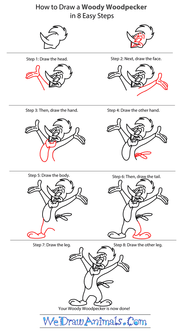 How to Draw Woody Woodpecker - Step-by-Step Tutorial
