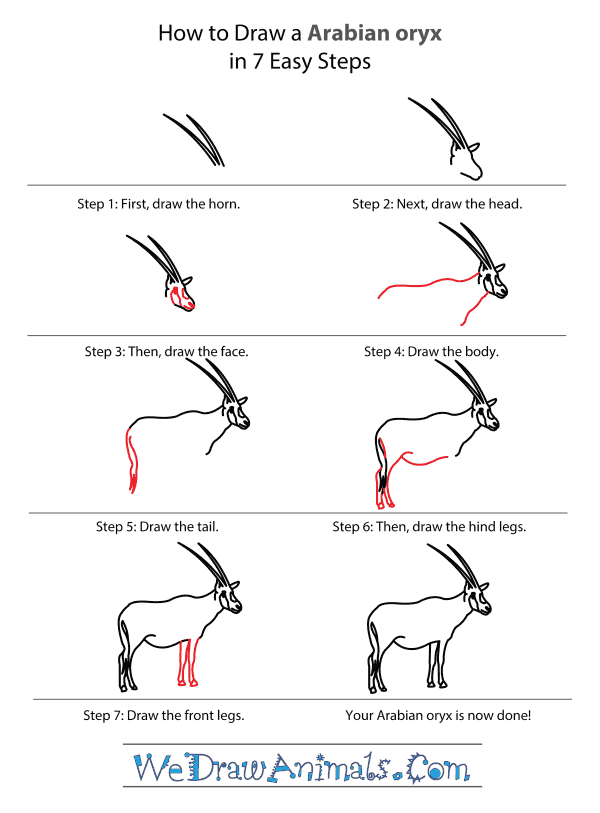 How to Draw an Arabian Oryx - Step-by-Step Tutorial