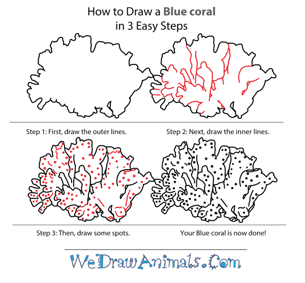 How to Draw a Blue Coral - Step-by-Step Tutorial