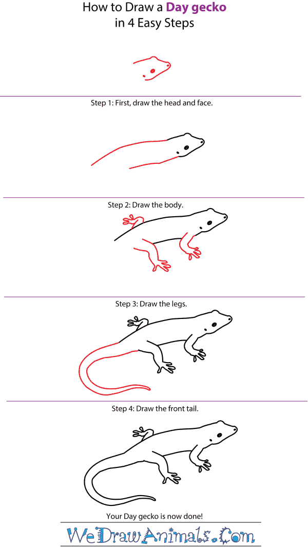 How to Draw a Day Gecko - Step-by-Step Tutorial