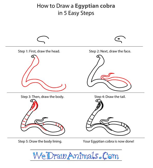 How to Draw an Egyptian Cobra - Step-by-Step Tutorial