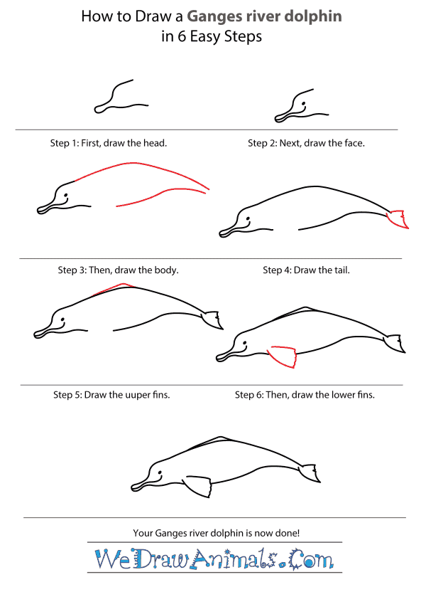 How to Draw a Ganges River Dolphin - Step-by-Step Tutorial
