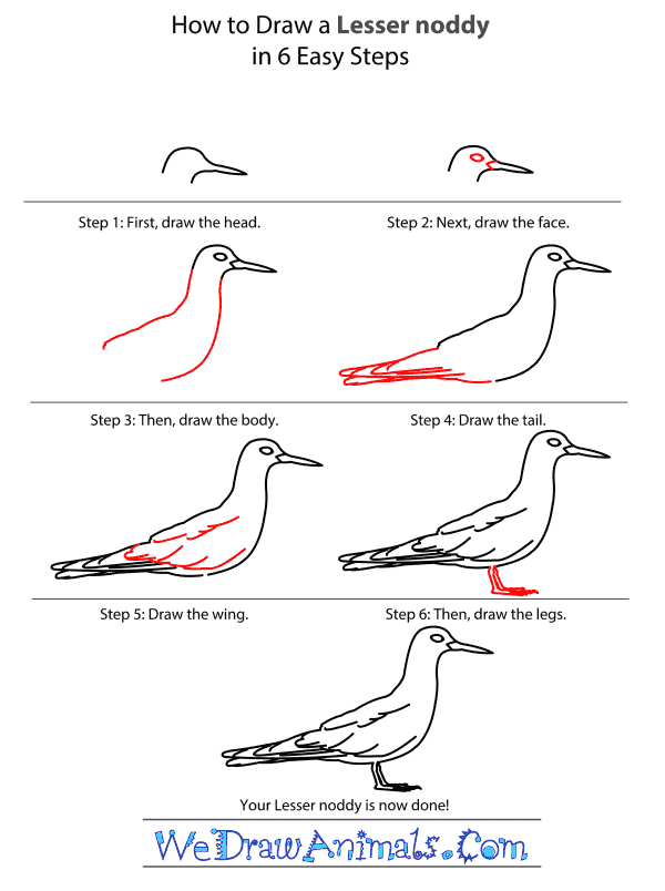 How to Draw a Lesser Noddy - Step-by-Step Tutorial