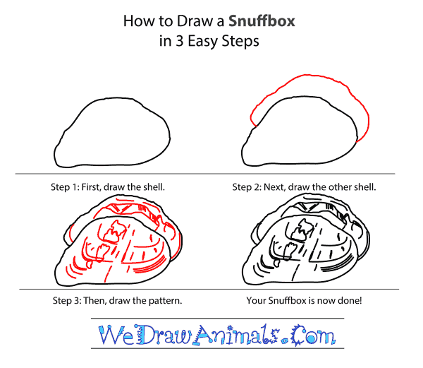 How to Draw a Snuffbox - Step-by-Step Tutorial