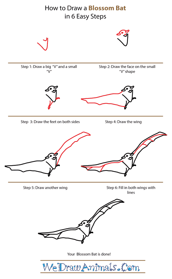 How to Draw a Blossom Bat - Step-by-Step Tutorial
