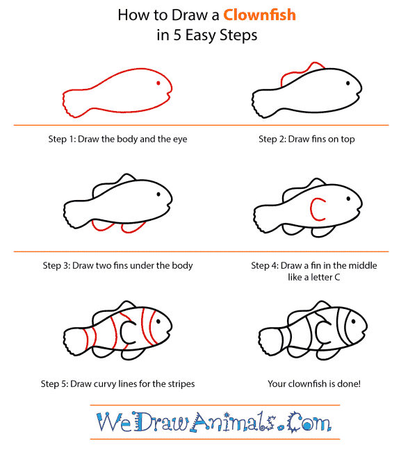 How to Draw a Clownfish - Step-by-Step Tutorial