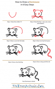 How to Draw a Dormouse