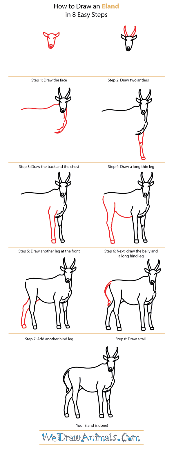 How to Draw an Eland - Step-by-Step Tutorial