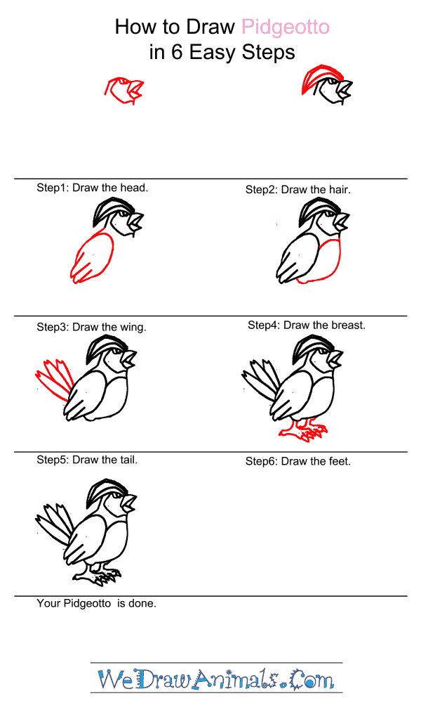 How to Draw Pidgeotto - Step-by-Step Tutorial
