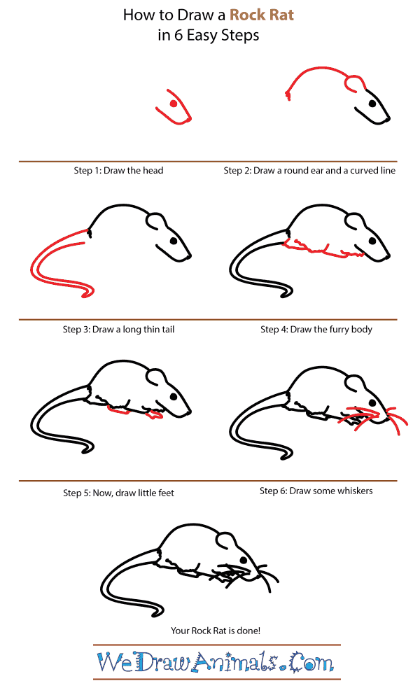 How to Draw a Rock Rat - Step-by-Step Tutorial