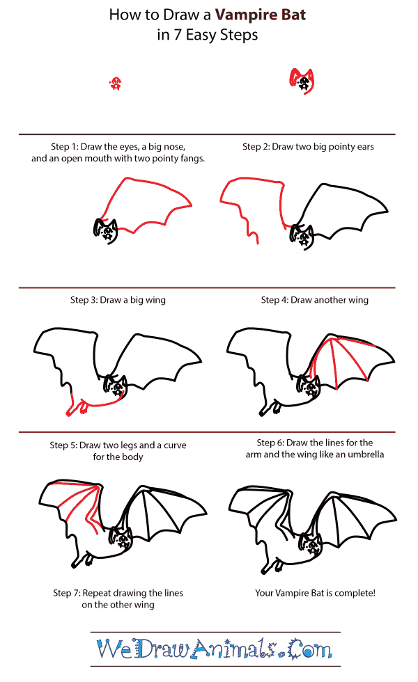 How to Draw a Vampire Bat - Step-by-Step Tutorial