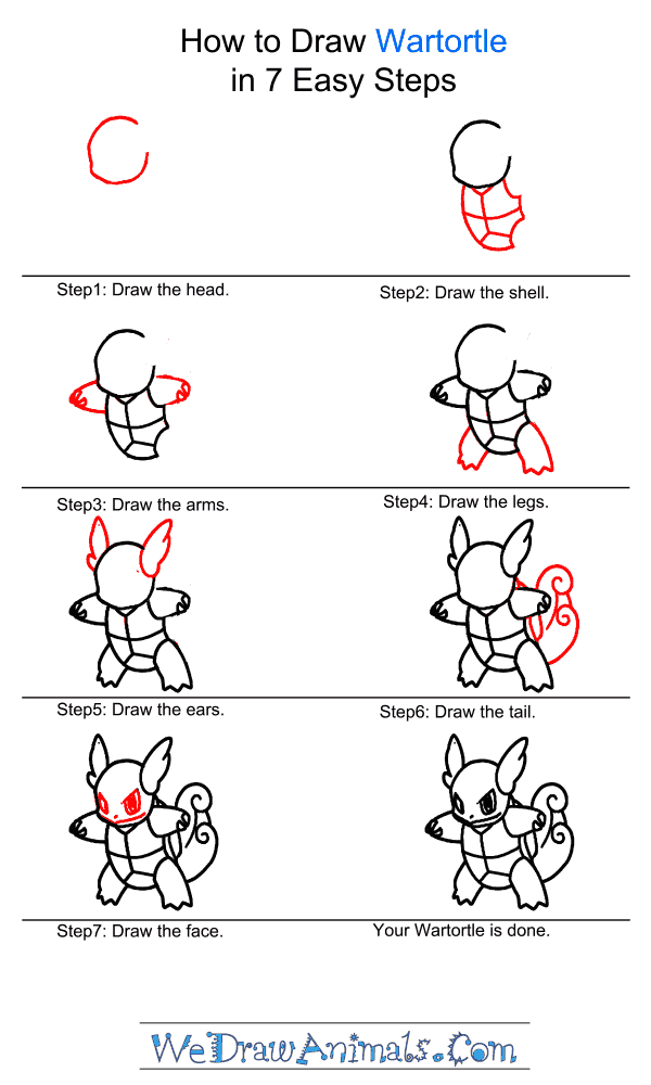 How to Draw Wartortle - Step-by-Step Tutorial