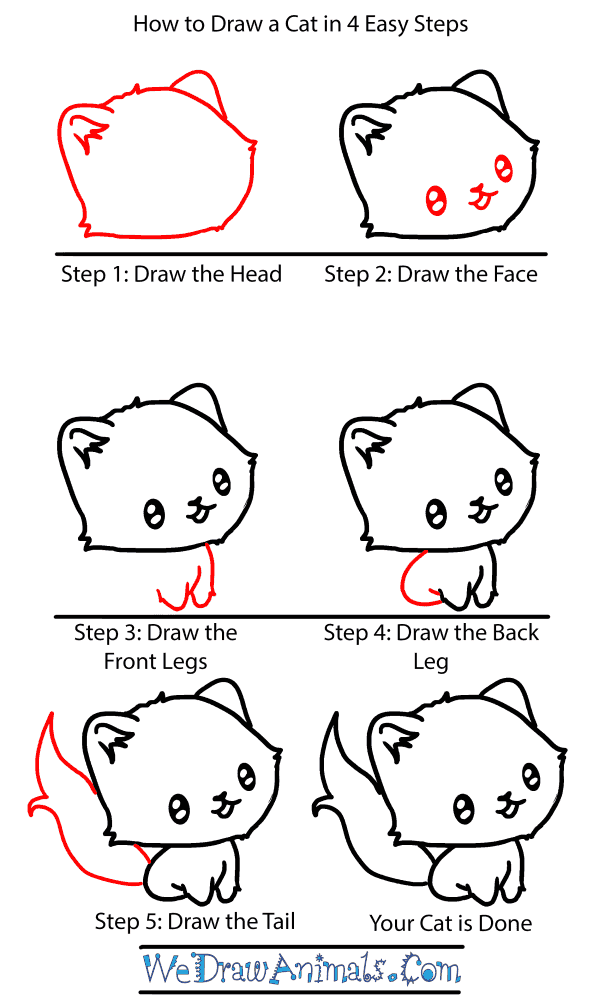 How to Draw a Baby Cat - Step-by-Step Tutorial