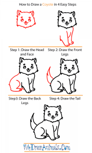 How to Draw a Baby Coyote