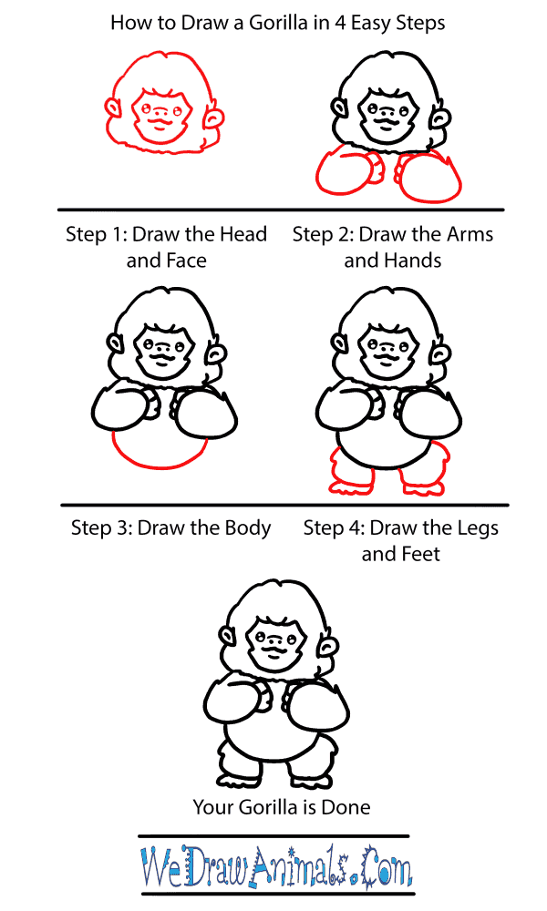 How to Draw a Baby Gorilla - Step-by-Step Tutorial