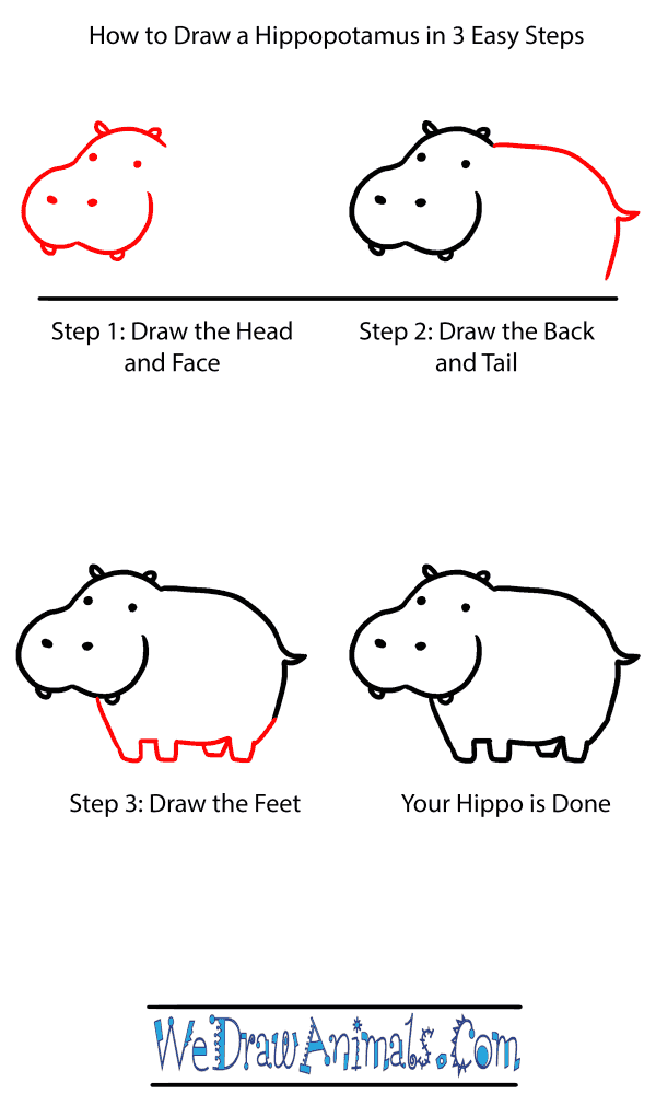 How to Draw a Baby Hippopotamus