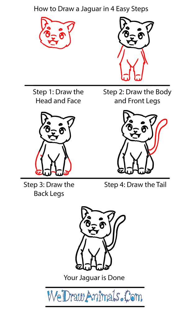 How to Draw a Baby Jaguar - Step-by-Step Tutorial
