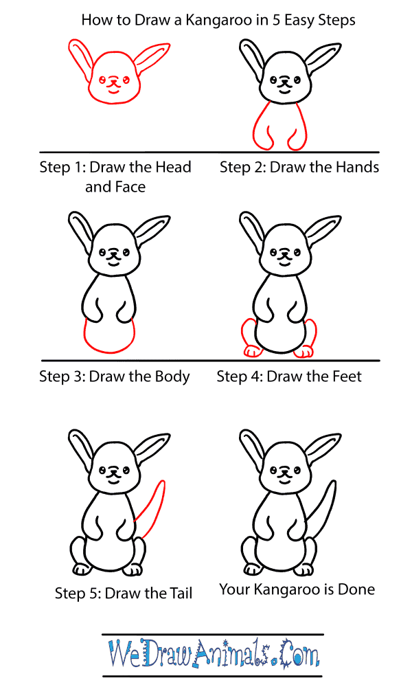 How to Draw a Baby Kangaroo - Step-by-Step Tutorial