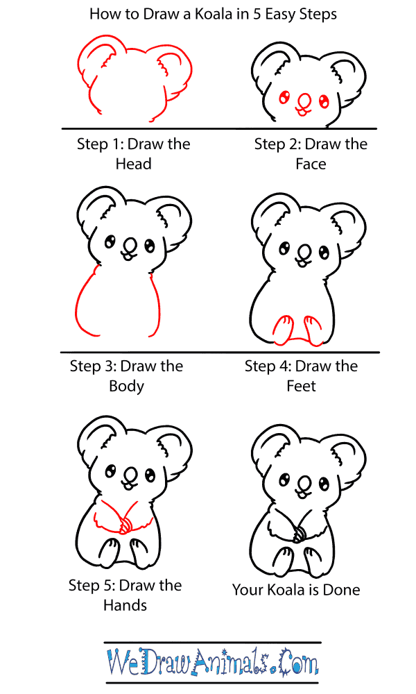 How to Draw a Baby Koala - Step-by-Step Tutorial